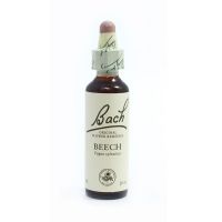 Bach Beech 20ml